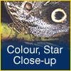 Colour, Stars and Close-up