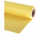 Lastolite Background Paper Roll 2.72 x 11m Primrose