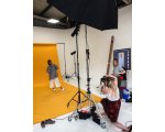 COLORAMA 2.72 X 11M Sunflower 